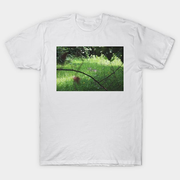 in the wilderness T-Shirt by lilyefb